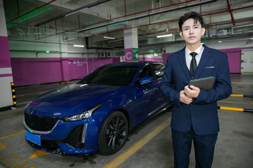 商务豪车销售顾问与车险摄影 捕捉专业与品质的瞬间